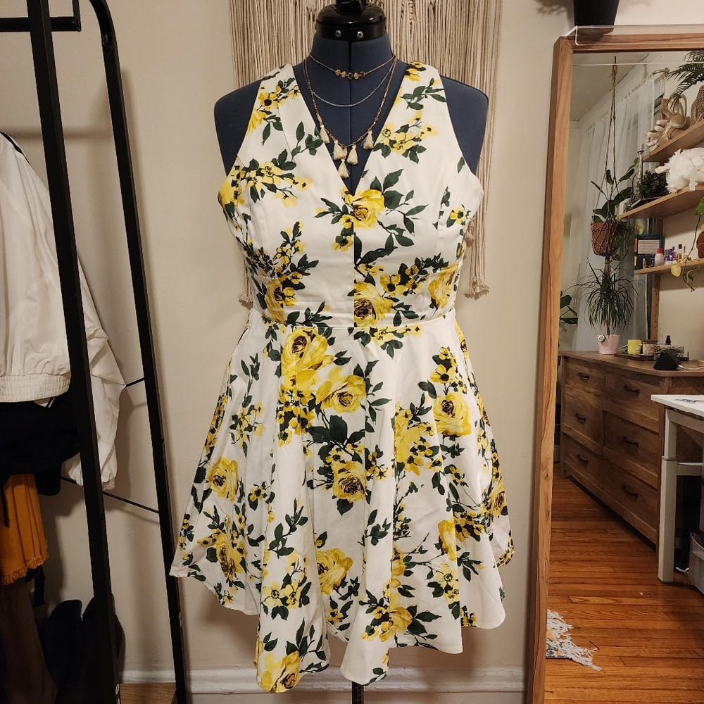 Retro Modcloth Ixia floral A-line dress with pockets!